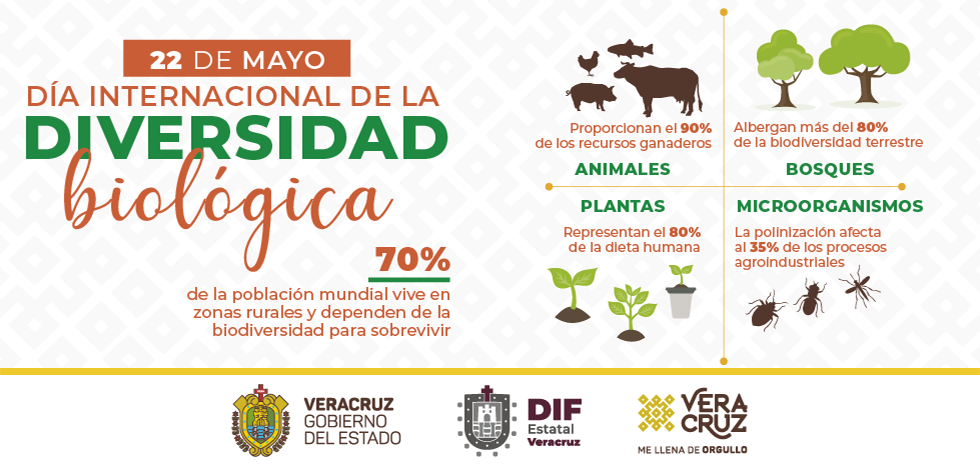 Día Internacional de la Diversidad Biológica | DIF Estatal de Veracruz Día Internacional de la Diversidad Biológica | DIF Estatal de Veracruz
