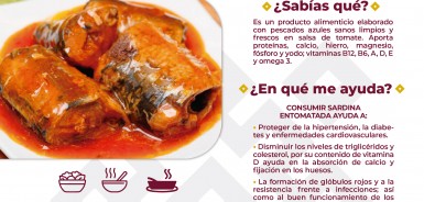 infografias-alim-sardinas