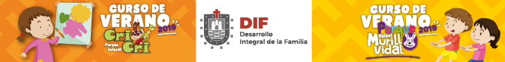Curso de verano 2019